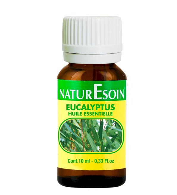 6111246208496-2 NaturEsoin Huile Essentielle d'Eucalyptus Globuleux - 10 ml – Image 1