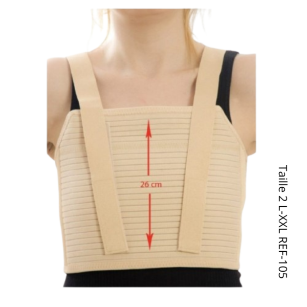 ANNAFIX Ceinture Thoracique Taille 2 L-XXL REF-105